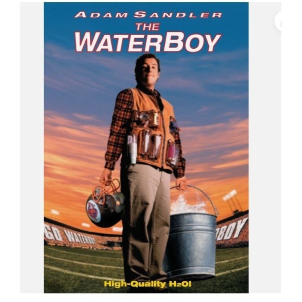 The Waterboy (DVD, 1998) Widescreen edition